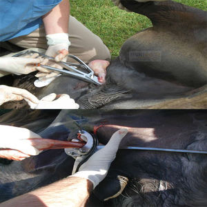 Reimers-emasculador para caballos, equipo de Veterinaria con 3 brazos de acero inoxidable, gran oferta - Product Image 6