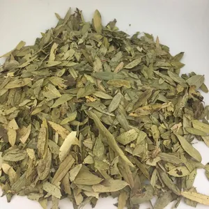 Senna Leaf Tea für eine bessere Gesundheit