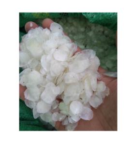 Escamas de Tilapia Negra Secas de Alta Calidad - Escamas de Tilapia Roja para Colágeno - Piel de Pescado Seca y Escamas de Pescado Secas 99 Gold Data - Product Image 2