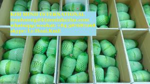 ผลไม้เมืองร้อนผลไม้ส่งออกจากเวียดนาม - Product Image 3