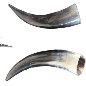 Natural Pair <b>Horn</b> and for Sale From cm Raw Material <b>Buffalo</b> <b>Horn</b> With for Shape Customized Price for Medium Size - Product Image 1