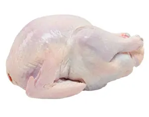 Concurrentiel Prix En Gros Qualité Premium En Vrac Halal Congelés De Poulet/Poulet Congelé/Halal Entiers Congelés De Poulet Pour L'exportation