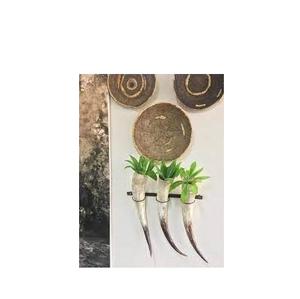 Pièce maîtresse décorative à 5 cornes et taille personnalisée et support mural en métal poli et en corne naturelle - Product Image 4