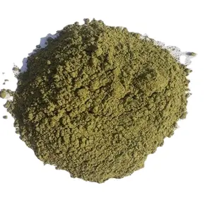 Bulk Supplier of Neem Powder from India