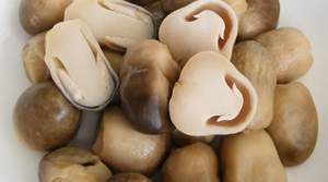 CHAMPIGNONS DE PAILLE SALÉS CHAMPIGNON DE HAUTE QUALITÉ - Product Image 4