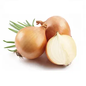 100% Pure Onion Essential Oil Bulk Supplier And Manufacturer