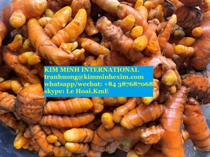 CURCUMINA DE CÚRCUMA FRESCA DE LA MEJOR CALIDAD DE VIETNAM - Product Image 3