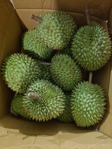 Meilleur Prix Durian Roi des fruits-King Durian - Product Image 6
