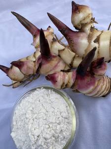 Almidón de arrowroot de la mejor calidad, harina en polvo blanco, tipo nativo de Vietnam. - Product Image 4