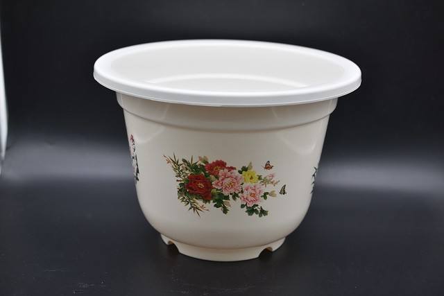 พิมพ์ลาย