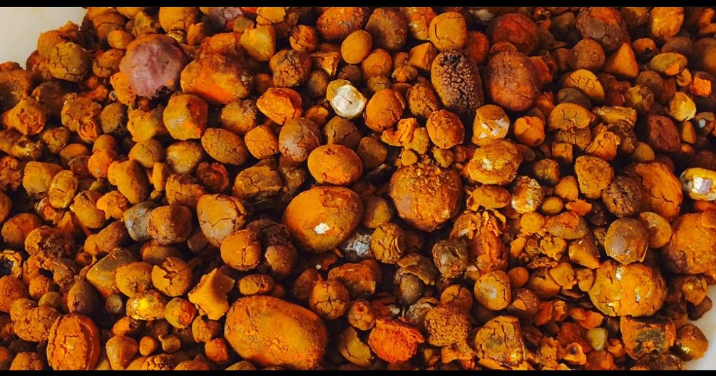 Cheap Cow Gall Stones / Ox Gallstones