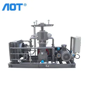 Aot Cng Compressor Greenfield Compressor Aardgas Compressie Voor Lng Tankstation