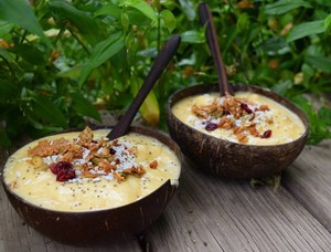 Eco2go Vietnam Natural Coconut Shell Biodegradable Eco-Friendly BPA Free Stackable <b>Freezer</b> Safe Dessert Bowl Ice Cream Food Safe - Product Image 3