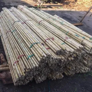 Grosir Tiang Bambu Bulat/Tiang Bambu Harga Termurah