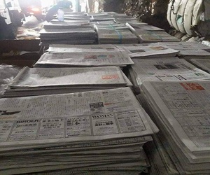 Déchets de Papier de Vieux Journaux et Plus Question Journaux OINP DE QUALITÉ - Product Image 6