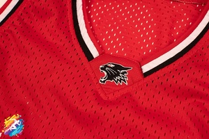Camiseta de Baloncesto Unisex Profesional Wild Cats, Diseño de Película Espacial, Transpirable, Antibacteriana, Fórmula 1 Industries, Tallas S-XXXL - Product Image 4