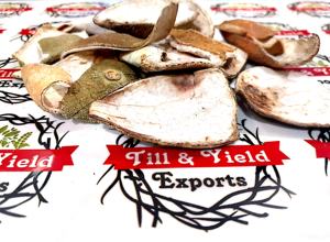 Suministro de fábrica, piel de naranja de calidad Premium - Product Image 2