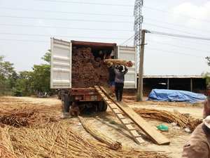 ม้วนหวายสานลายสี่เหลี่ยม ขนาด 45/60/90/120 ซม. สีสันสดใส สำหรับตกแต่งตู้ - Product Image 3