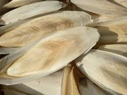 Os de seiche séché de la meilleure qualité au Vietnam pour chiens porcs bovins chevaux et poisson-Grade a 12% humidité marque MS MARY - Product Image 5