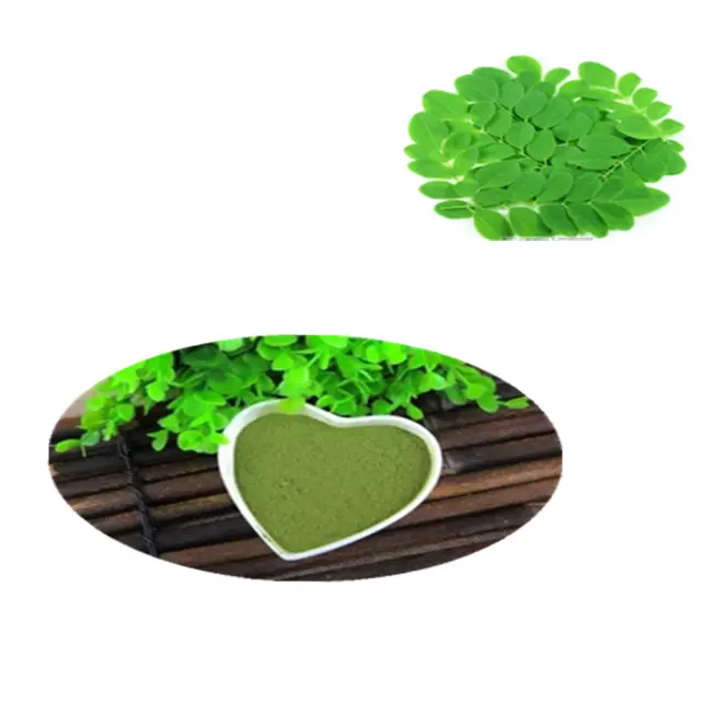 Sano e puro polvere di foglie di Moringa certificato biologico a basso prezzo integratore sano cibo a base di erbe