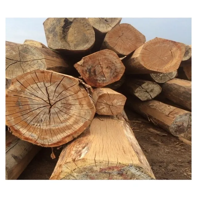 Деревянные бревна, деревянные бревна из тика, доступны деревянные бревна из дуба