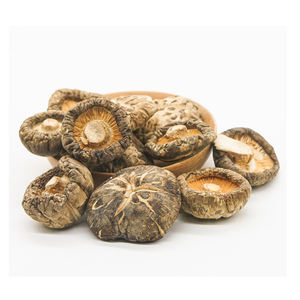 Champignon à shikbait séchés, 100 naturel, gratuit, du Vietnam, HH + 84977157110, vente en gros - Product Image 4
