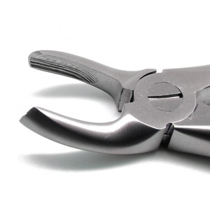 คีมถอนฟัน Mead Fig MD 2 คุณภาพสูง เครื่องมือทันตกรรมเกรดพรีเมียม ผลิตจากสแตนเลสสตีล ได้รับการรับรองมาตรฐาน CE - Product Image 4