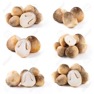 CHAMPIGNONS DE PAILLE SALÉS CHAMPIGNON DE HAUTE QUALITÉ - Product Image 1
