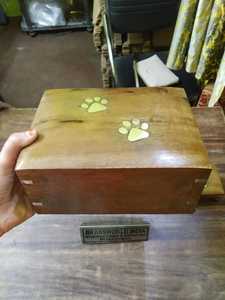 OD PET SIIL SINS BY BSWORRLD D IINNDDI - Product Image 6