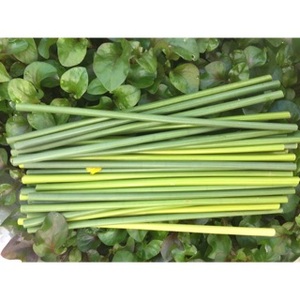 Paille d'herbe biologique du Vietnam, la plus vendue - Meilleur prix pour vous - Mme Esther - Product Image 3