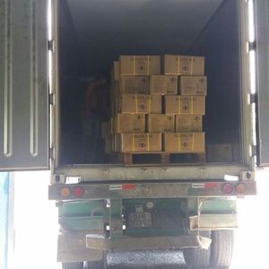 อ้อยสดเวียดนามแช่แข็งสำหรับส่งออก ราคาถูกมาก (ซาราห์ +84376540581) - Product Image 5