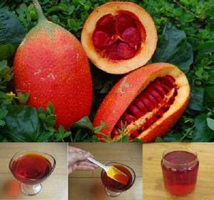 ผง GAC ธรรมชาติแบบ100% ผง GAC 4สำหรับวันหยุดยี่ห้อ Viet Delta - Product Image 2