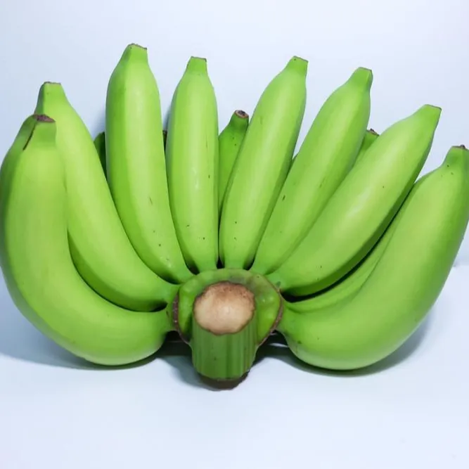 الأكثر مبيعًا من الموز الأخضر المنعش بنمط كافنديش الأخضر المنعش موز كافنديش للتصدير