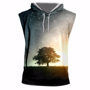 Vêtements de sport d'été sublimés OEM pour hommes Nouveaux sweats sans manches Slim Fit Zipper Casual Solid Tracksuit Spring Plain Dyed - Product Image 4