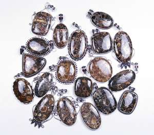 Jaspe Turritella Natural, increíble lote al por mayor, colgante plateado de diseño - Product Image 5