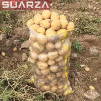 Экспортер картофеля