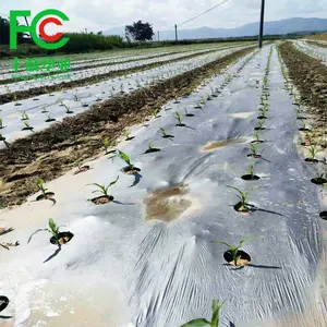 चीन कारखाने चांदी के रंग के लिए छिद्रित छेद पीई कोटिंग खेत गीली घास फिल्म sapling