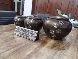 10 pièces de crème libre, litière, différentes tailles, pour animaux de compagnie - Product Image 5