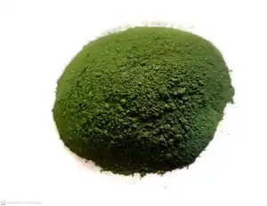 Export Quality Arthrospira Maxima Spirulina Powder It May Be Use Blood Sugar Control Cholesterol Levels