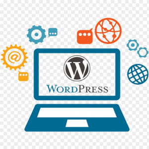 <strong>Wordpress</strong> Ecommerce Website Development - Product Image 1