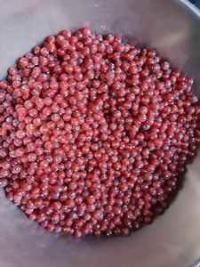 Perles de verre au chalumeau en cristal en forme de melon blanc de qualité supérieure pour projets créatifs Vente en gros - Product Image 2