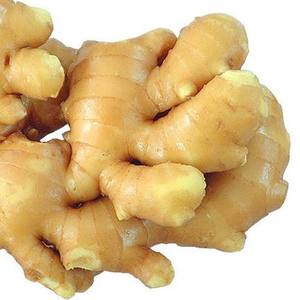 Organic <b>Fresh</b> <b>Ginger</b> Manufacturers - Product Image 3