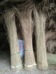 คุณภาพสูงมะพร้าวไม้กวาดSTICKS/NIPAHไม้กวาดSTICKS (Lee Tran: + 84987731263) - Product Image 2