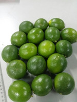 Citron vert sans graines/citron sans graines frais de haute qualité dans la région caractéristique vacances