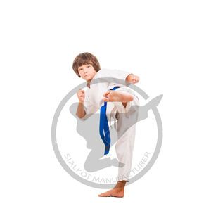 ชุดกิโมโน JJ GI สำหรับผู้ใหญ่ผ้าฝ้าย100% แบบบราซิลเลียน Jitsu bjitsu bjgi โลโก้ตามสั่งแบบ360gsm - Product Image 2