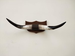 Corne de buffle décorative et vaisselle de table, corne de taureau montée, décoration d'intérieur, corne antique, vente à chaud - Product Image 6