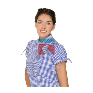 Mens Traditional Bavarian Trachten Checked Shirt Cotton Plaid Long Sleeve Oktoberfest Shirt - Product Image 3