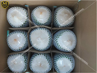 Boisson tropicale à haute teneur en noix de coco, original du VIETNAM avec certificat ISO, STYLE d'emballage, WHATSAPP 0084 981 144, 196