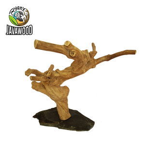 Branches naturelles d'escalade en bois sur base en ardoise pour reptiles, best-seller - Product Image 4