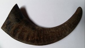 Sừng Trâu Nguyên Liệu Sừng Ấn Độ - Product Image 4